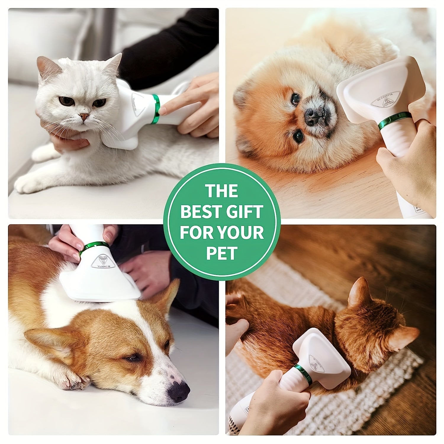 LIVEKEY 2-in-1 Pet Grooming Dryer with Adjustable Temperature & Slicker Brush – Dog & Cat Hair Dryer and Detangling Brush, Stainless Steel Bristles