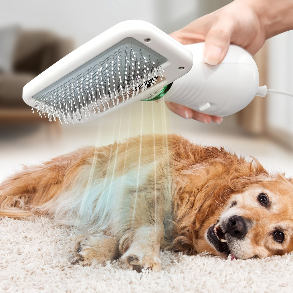LIVEKEY 2-in-1 Pet Grooming Dryer with Adjustable Temperature & Slicker Brush – Dog & Cat Hair Dryer and Detangling Brush, Stainless Steel Bristles
